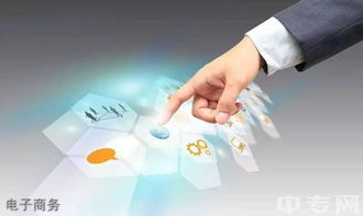 四川九洲技師學(xué)院電子商務(wù)專業(yè)招生 電子商務(wù)技術(shù)方向詳解